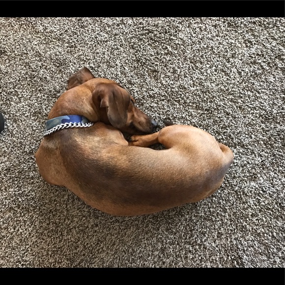 💰DON’T DELAY! ACT NOW! MAKE ME A REASONABLE OFFER - Picture 8 of 8